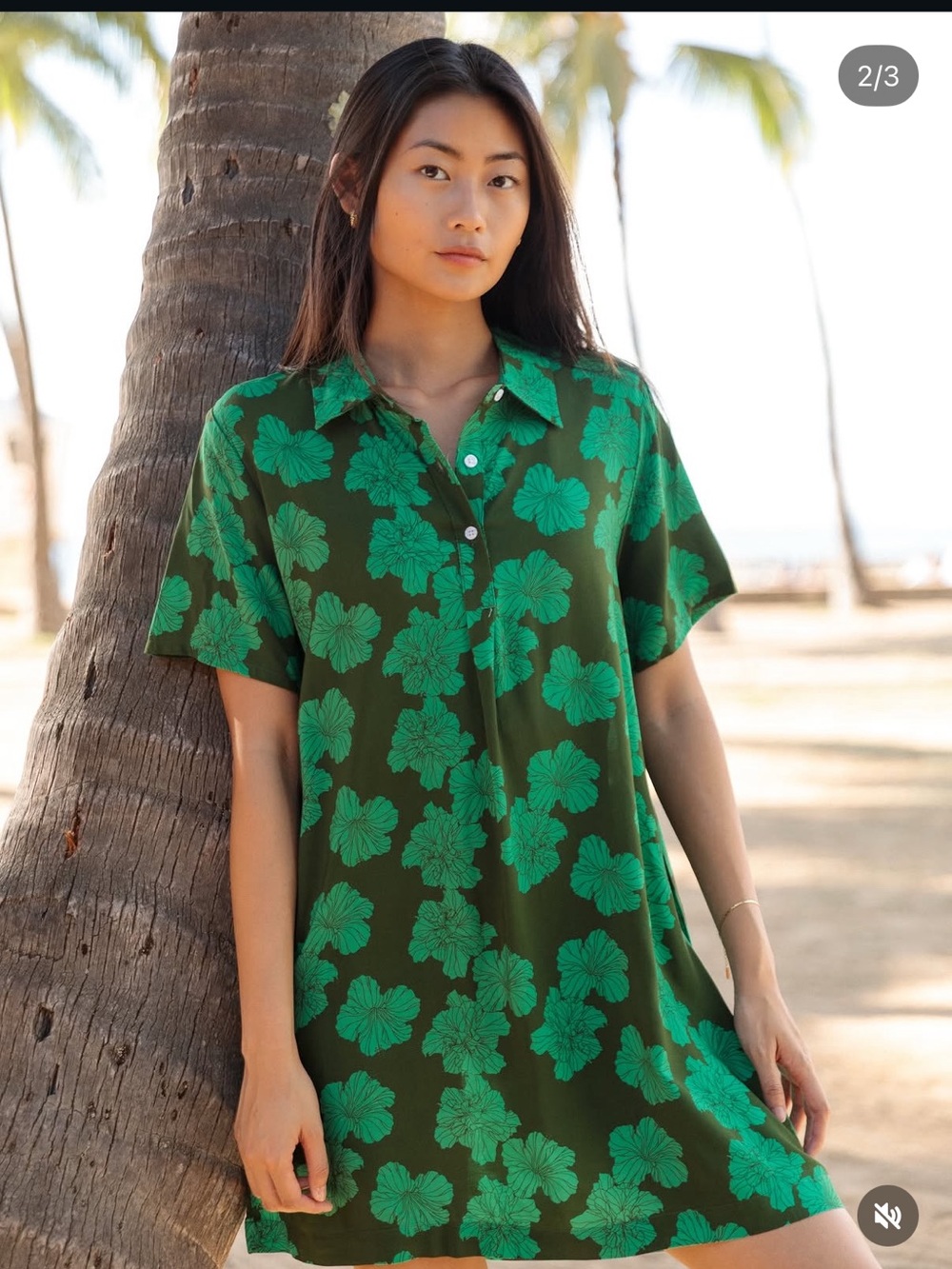 Fighting Eel Dress Olivia NWOT